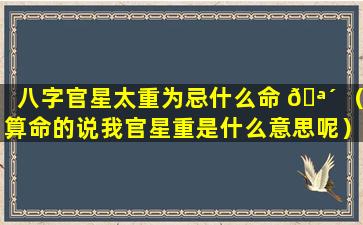 八字官星太重为忌什么命 🪴 （算命的说我官星重是什么意思呢）